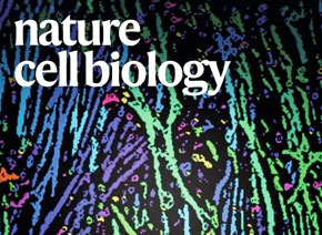 「輝駿客戶文章」Nature Cell Biology| 質(zhì)譜檢測(cè)技術(shù)助力體細(xì)胞重編程研究