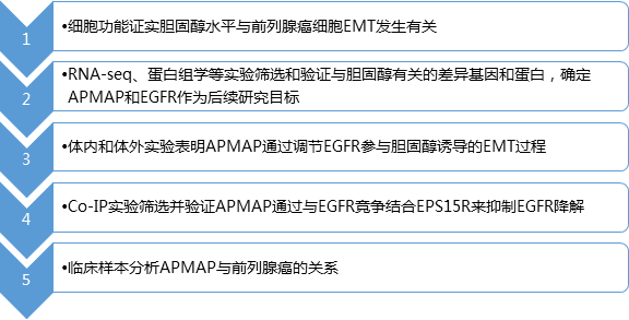 研究路線.jpg